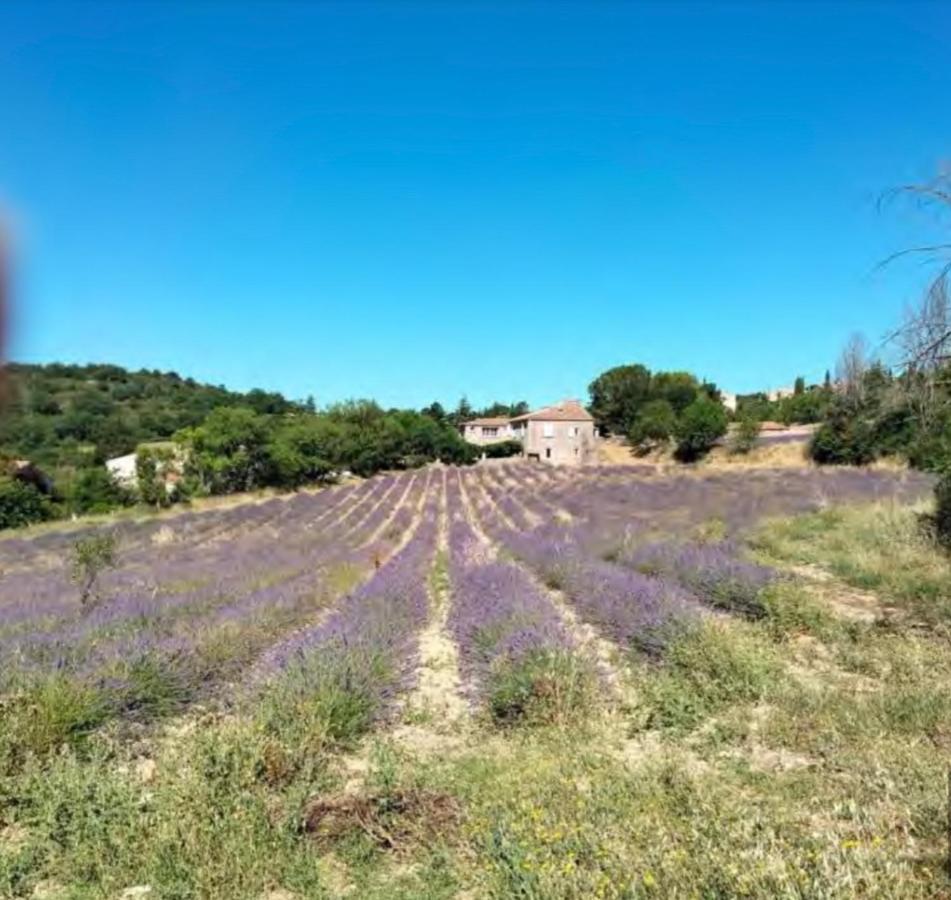 Lou Paradou Luberon Reillanne Exterior photo